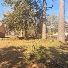 Safe-Again-Storm-Debris-Cleanup-In-Oxford-MS 10